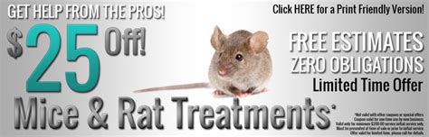 MICE PEST CONTROL SPECIAL OFFER | Paramount Exterminating