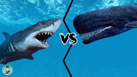 Megalodon Vs Leviathan