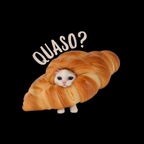 Croissant quasocat meme for women vintage croissant cat meme 2024 png – Artofit