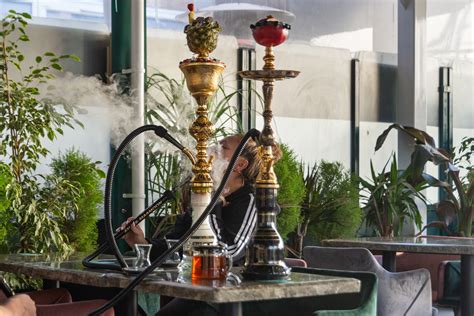 The Top 6 Fruity Shisha Flavors Of The Season – zahrahusa.com