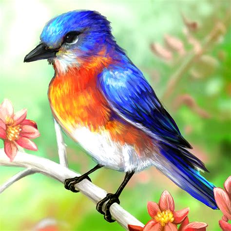 Blue Bird Layer Paint by charfade on DeviantArt