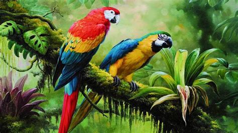 #bird #parrot #jungle #brach #parrots painting art #painting #birds tropical forest #forest # ...