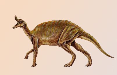 Lambeosaurus Dinosaur, facts | information - Dinosaur discovery