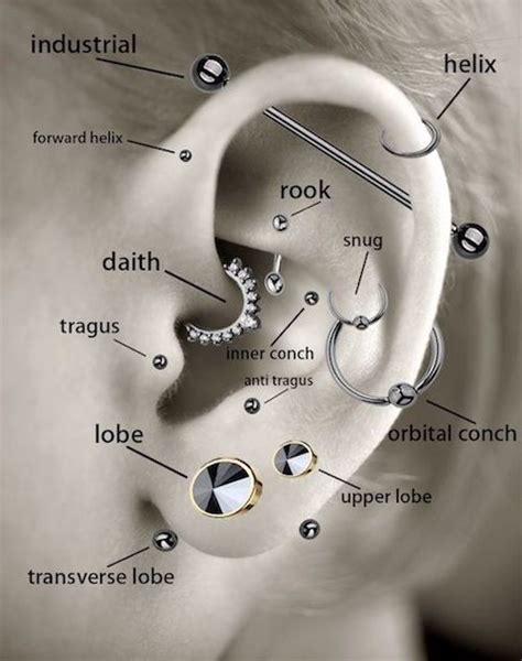 Your Guide To Cartilage Ear Piercings: 10 Types To Know – Zensa Skin Care