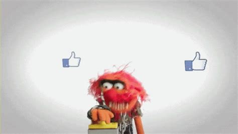 Animal Muppet GIFs - Get the best GIF on GIPHY