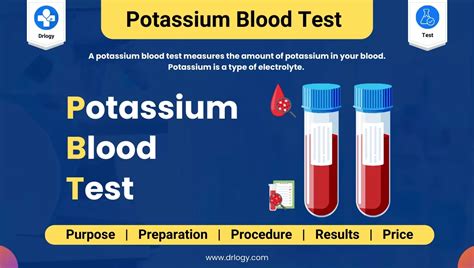 Potassium Blood Test: Purpose, Procedure, and Result - Drlogy