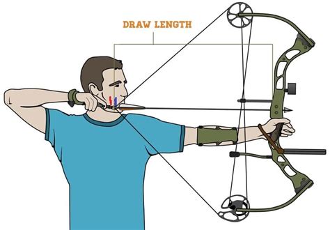 Archery 101: Bow Types | Three Rivers Park District