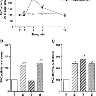 Effects of hyperosmotic mannitol solution on cell volume in isolated... | Download Scientific ...