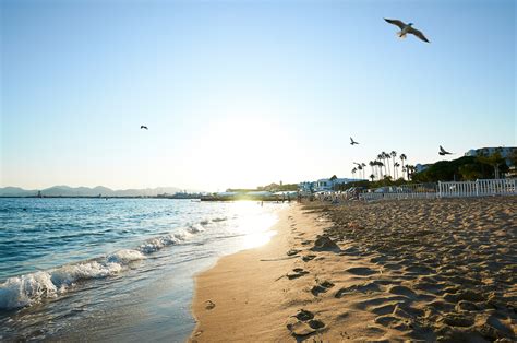 The Best Private and Public Beaches In Cannes - Editoire