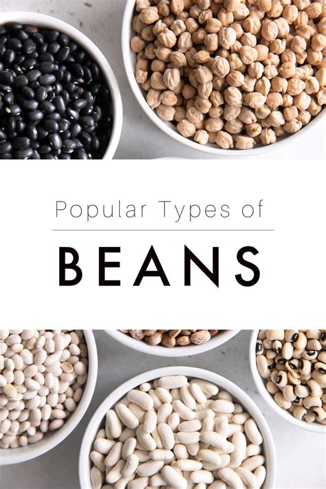 15 Types of Beans - And How to Use Them - The Forked Spoon