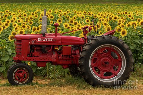 Red Farmall Tractor Photograph by Barbara Bowen