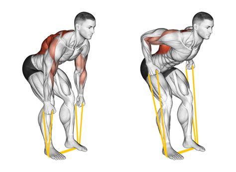 4 Best Lat Exercises with Bands (with Pictures!) - Inspire US