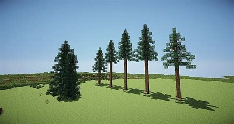 Minecraft Realistic Trees Schematic