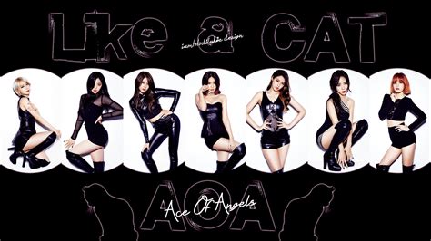 Like a Cat | Wikia AOA | FANDOM powered by Wikia