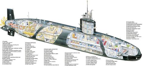 Trafalgar class submarine cross section : submarines