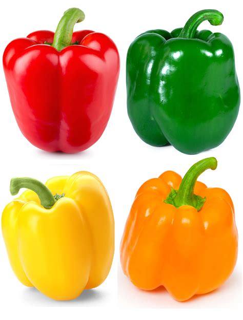 Bell Pepper Varieties | ubicaciondepersonas.cdmx.gob.mx