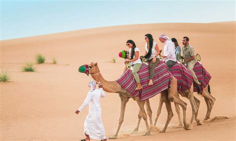 Camel Safari Tour Package | Desert Safari Tours in Rajasthan