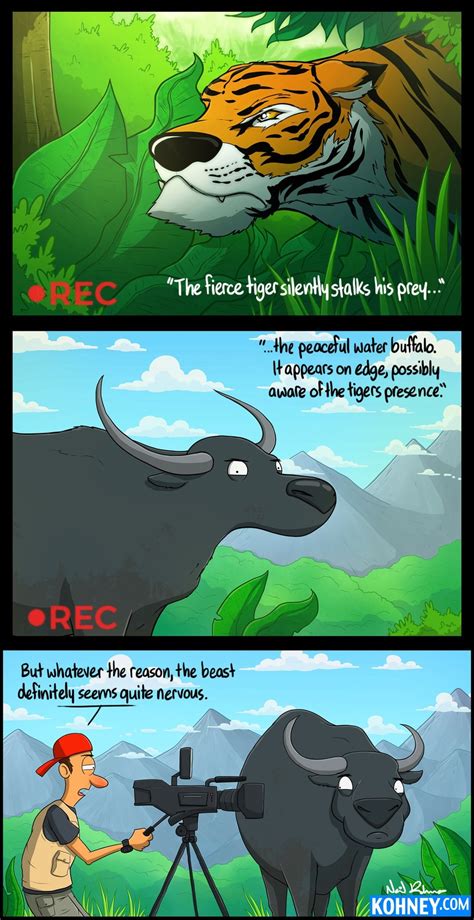 The Peaceful Water Buffalo - Meme by MemerLike :) Memedroid