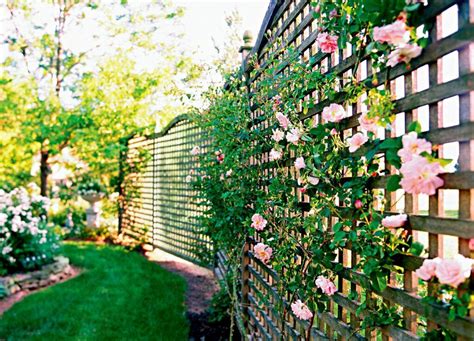 Creative Lattice Fence Ideas To Decorate Your Exterior Privacy Fence ...