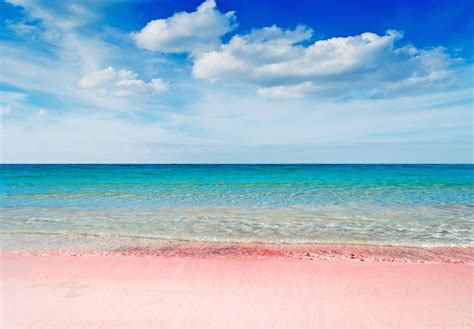 5 Pink Sand Beaches in the Caribbean & How to Get To Them