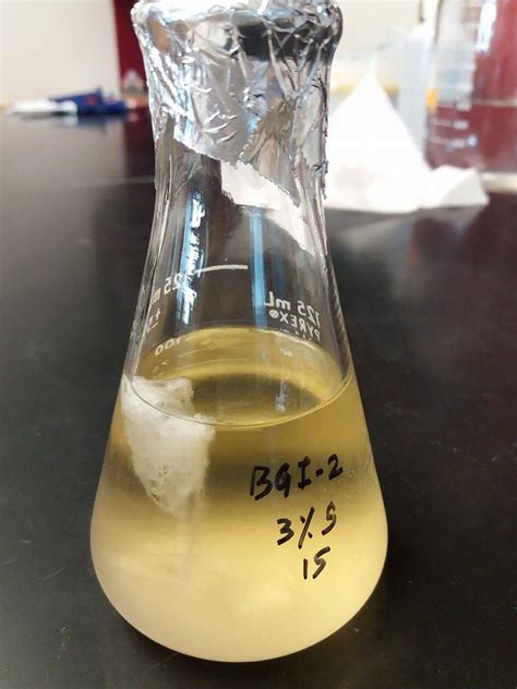 10 questions with answers in BACTERIAL CAPSULES | Science topic