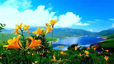 Spring Lily Yellow Flowers Lake Mountainnature Landscape Wallpaper Hd 3840×2160 #4K #wallpaper # ...