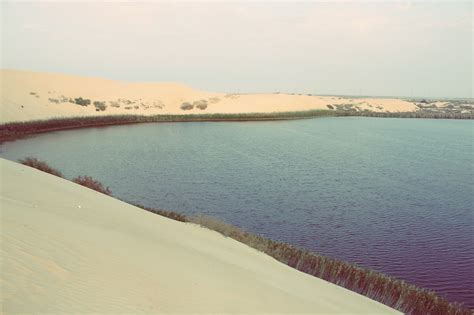 Al-Hasa Oasis, SAUDI ARABIA - Med-O-Med