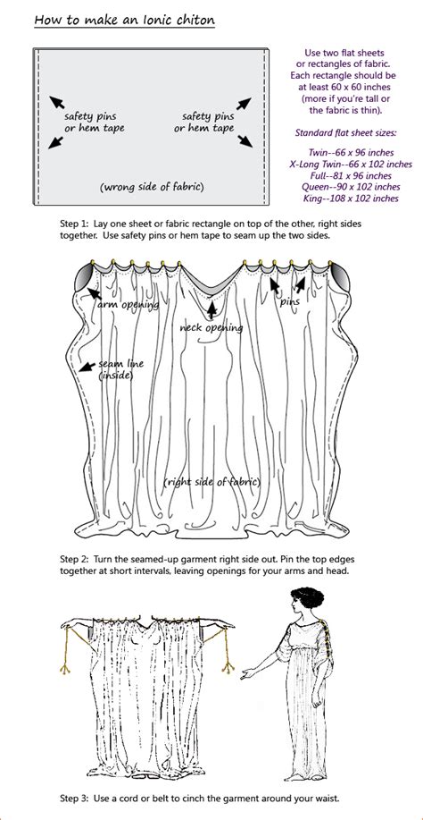 Chiton Diagram - Wiring Diagram Pictures