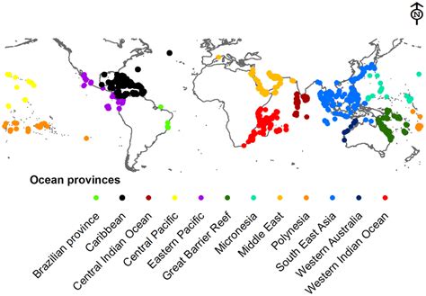 Coral Reef Locations Map