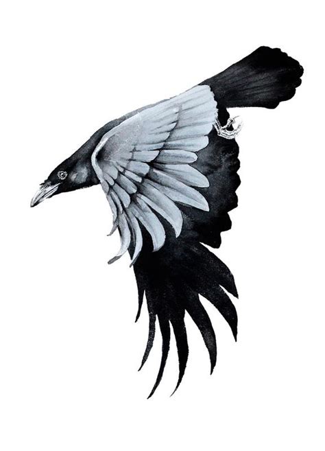 Raven Feather Drawing | Free download on ClipArtMag