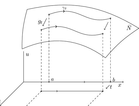 The integral curve γ 2 ∶ [a, b] → ¯ N represents an element of a family... | Download Scientific ...