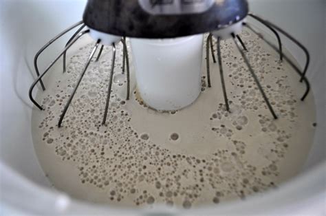 How to Make Bread in a Bosch Mixer – Suz Daily