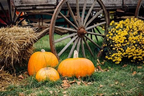 Fun Ideas for a Hayride Party for Kids