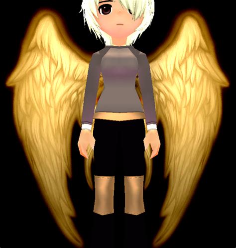 File:Golden Flame Wings Equipped Front.png - Mabinogi World Wiki