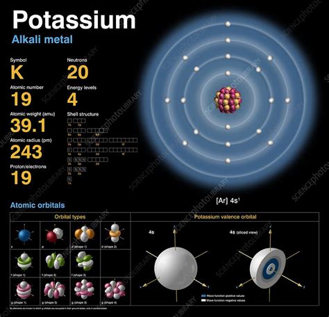 Potassium Periodic Table Protons Neutrons And Electrons | Awesome Home