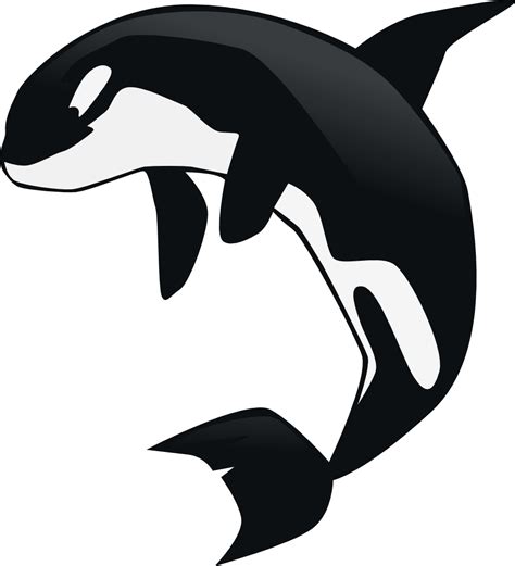 Orca Clip Art - ClipArt Best