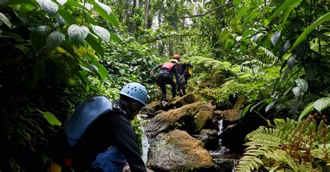 Dominica: Top Five Dominica Hiking Adventures | Discover Dominica