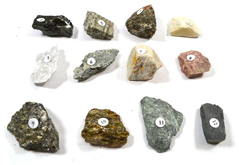 Types of Aquarium Rocks | How to Choose Suitable Rocks » 2024