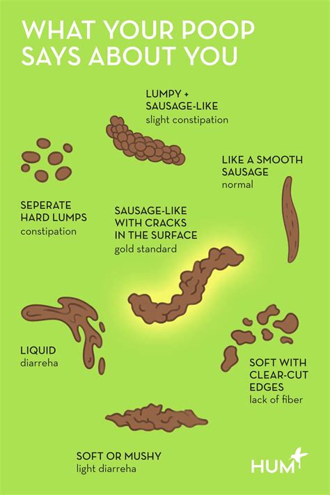 What Does Healthy Human Poop Look Like