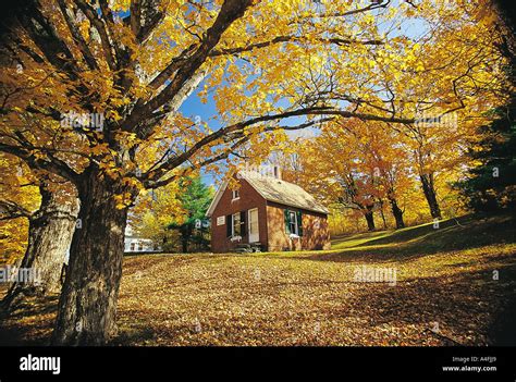 Fall foliage in Montpelier Vermont Stock Photo: 6305960 - Alamy