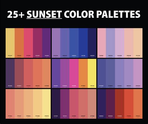 25+ Best Sunset Color Palettes with Names and Hex Codes – CreativeBooster