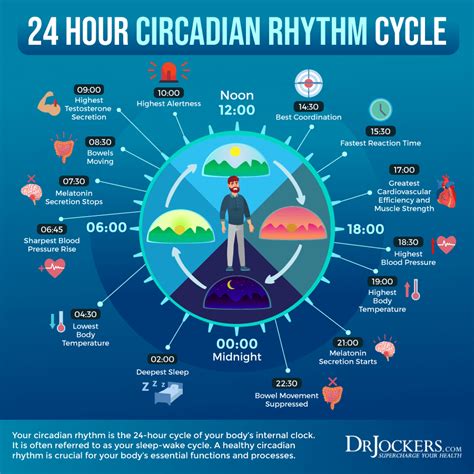 Melatonin: Health Benefits and How to Optimize Levels