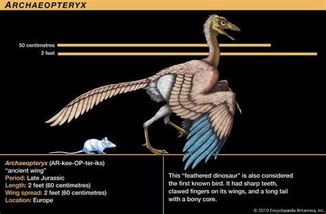 Late bird dinosaur - loljuja