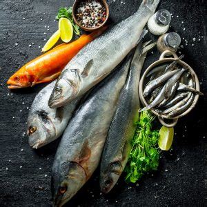 Allergy: Food Profile, Fish-Basic – Test Smartly Labs