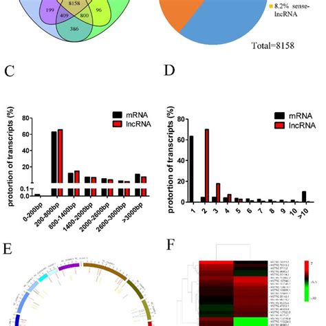 Overview of long noncoding RNA (lncRNA) sequencing data. (A) The ...