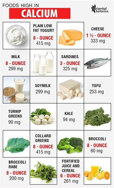 Foods With Good Source Of Calcium - True Wireless