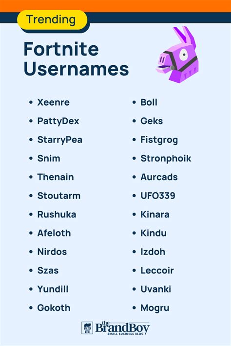 1101+ Fortnite Usernames with Generator - BrandBoy