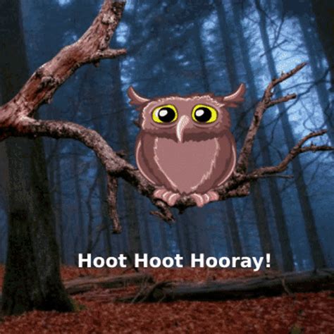 Owl Memes Cute Owls GIF - Owl Memes Cute Owls Animated Owls - Discover & Share GIFs