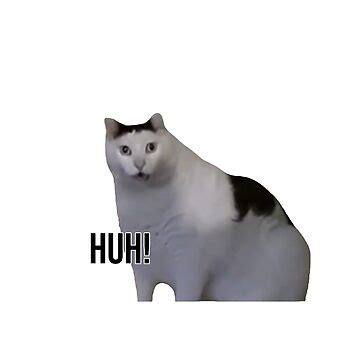 "Huh cat with text" Sticker for Sale by rbuser4 | Redbubble