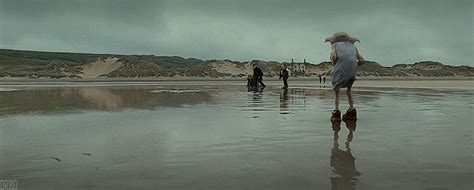 Dobby's Death [Harry Potter and the Deathly Hallows: Part 1] : Cinemagraphs